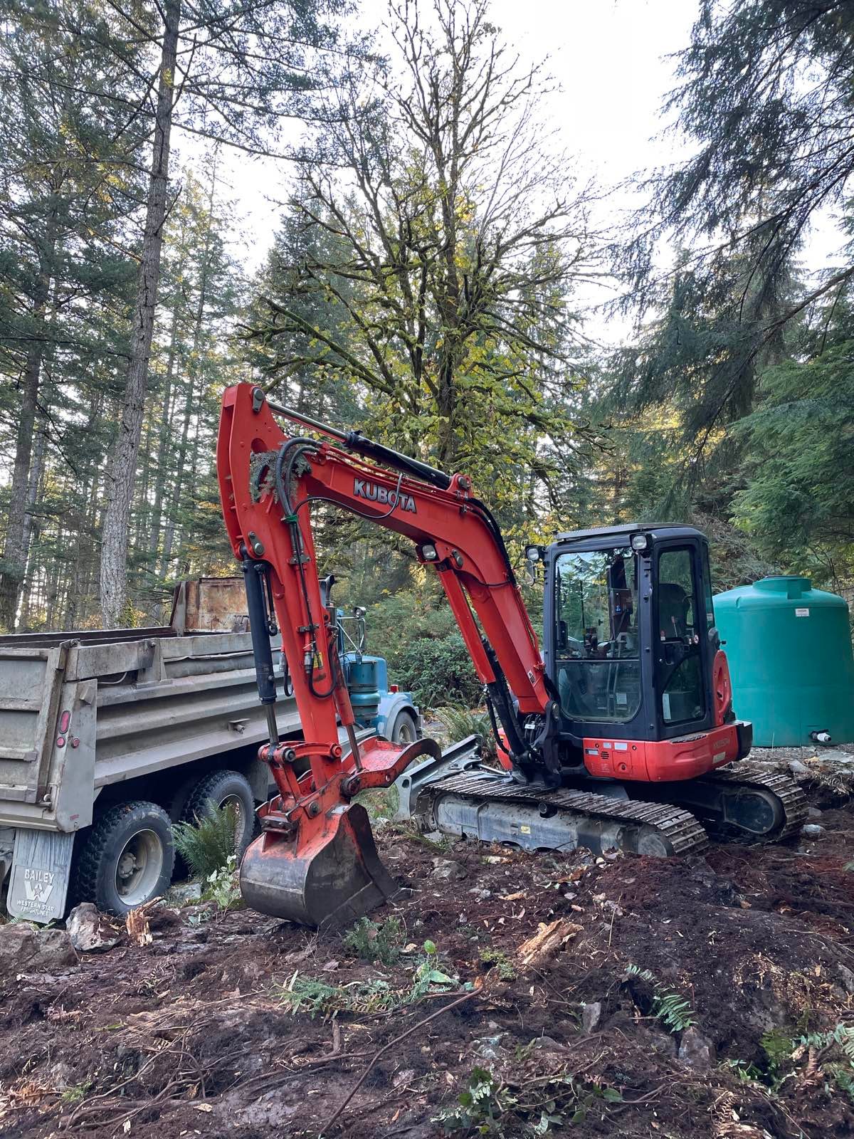 Rainwater cistern installation on a rural Vancouver Island property with metal roof catchment