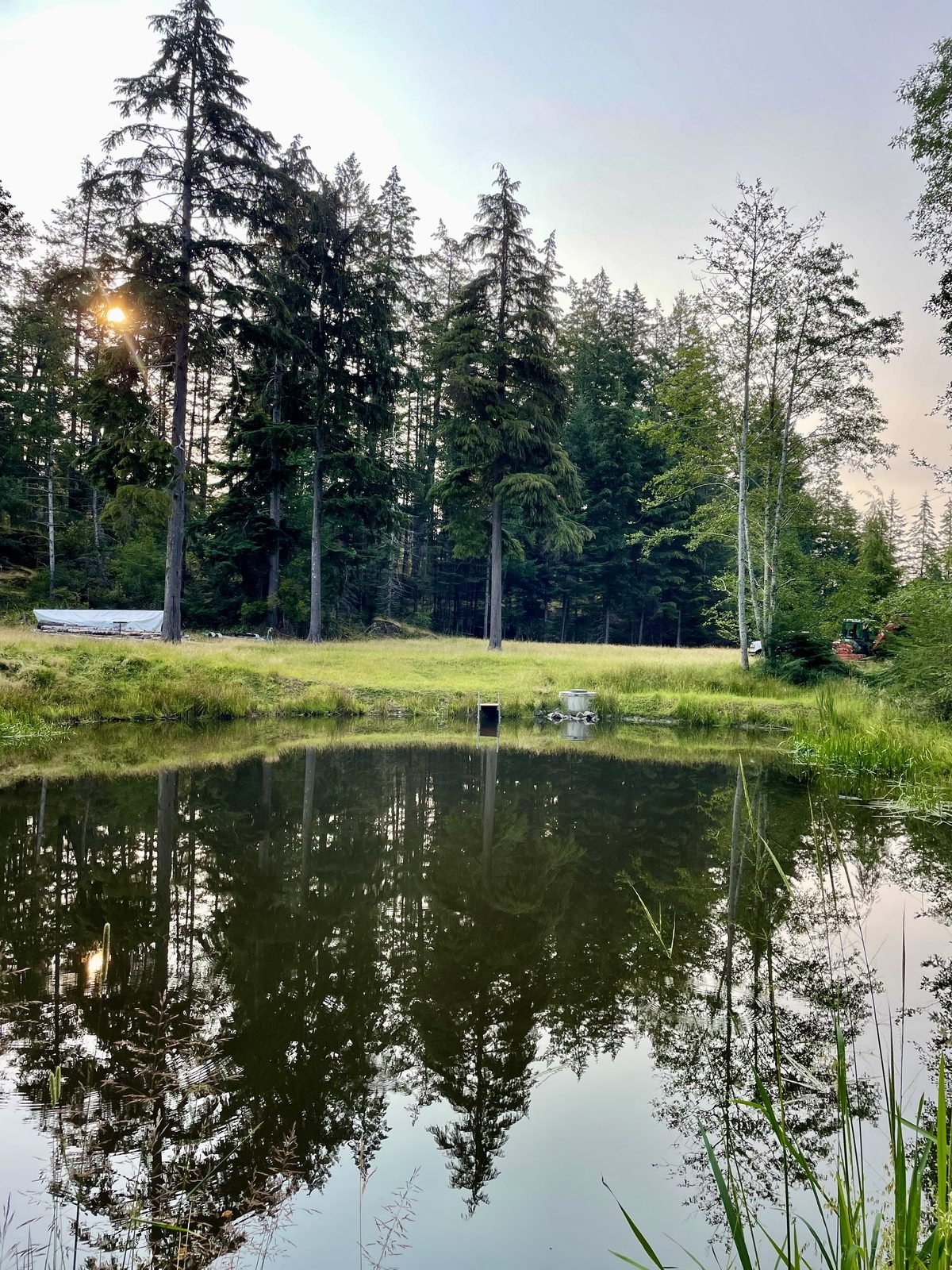 Small-scale food production on Vancouver Island